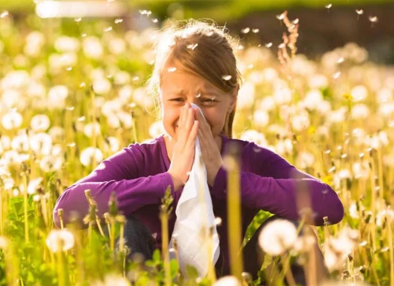 Allergy Season Is Here in New York City: Essential Tips for Surviving Spring Pollen